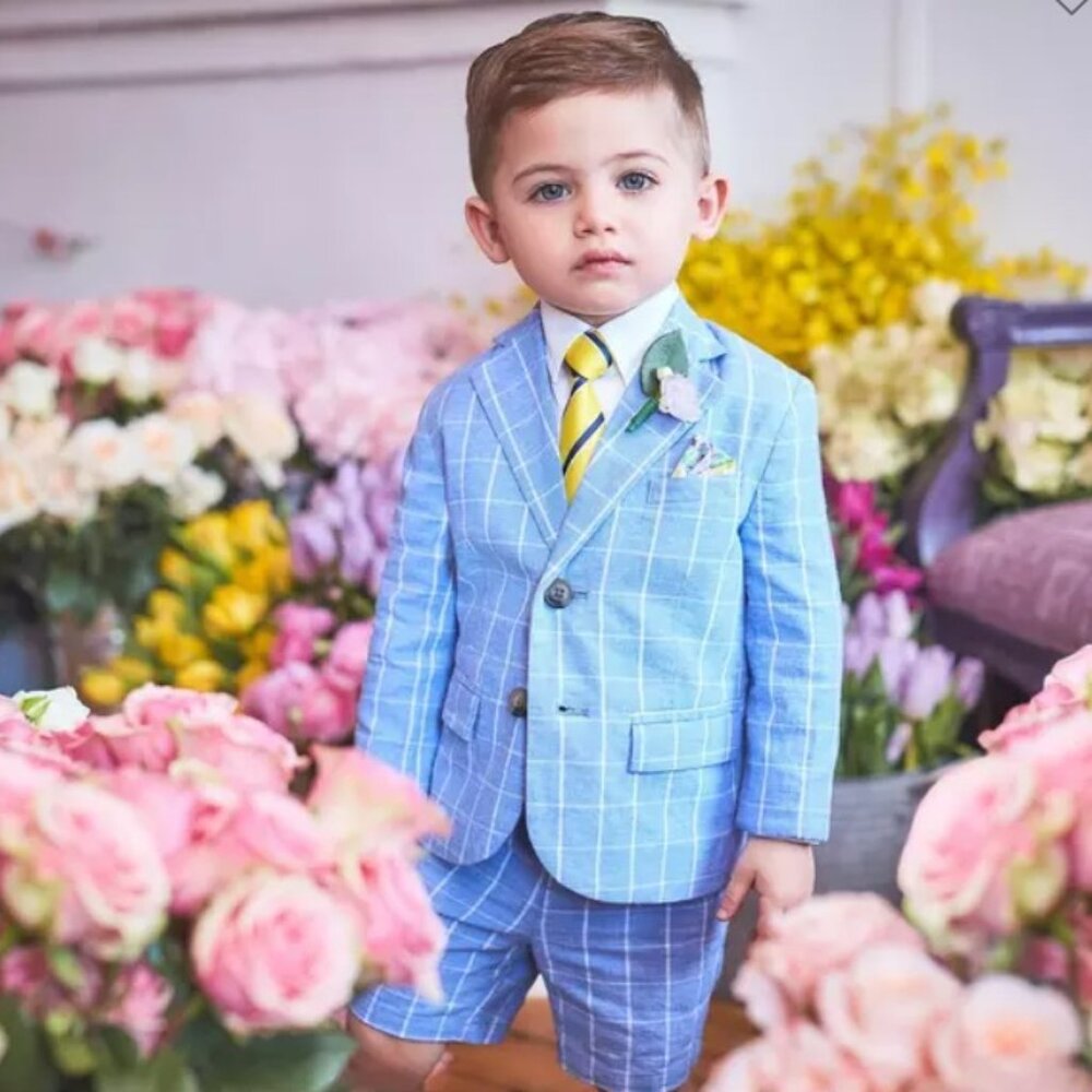 Little Boys Cornflower Blue Windowpane Linen Blend Blazer & Shorts Set